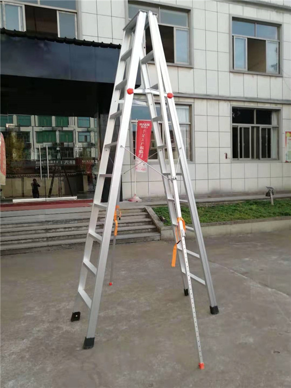 重庆茄子成人视频APP厂家